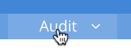 auditTab