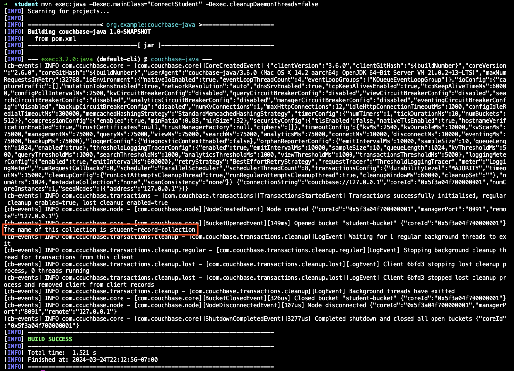 Console showing successful connection to server